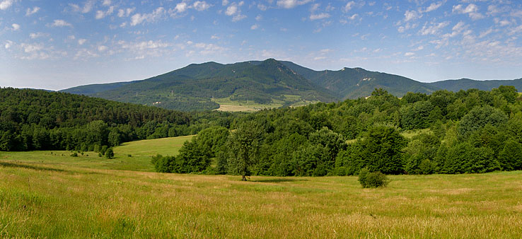 Rokoš