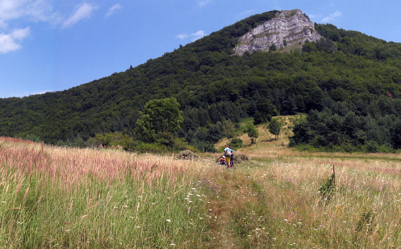 Temešská skala