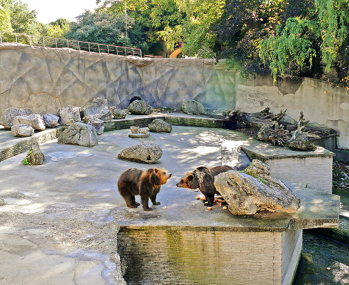 Medvedí výbeh v ZOO Bojnice
