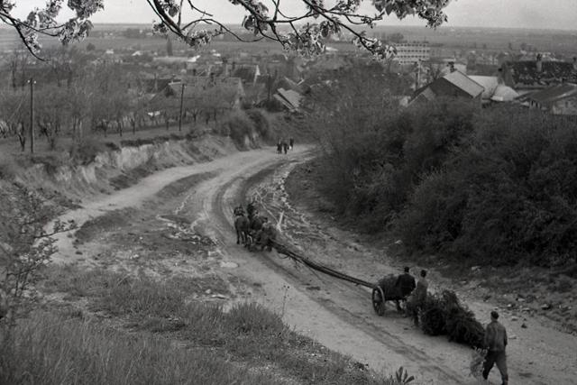 príprava na 1. máj v roku 1956