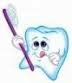 Veľké čistenie zubov v ZOO