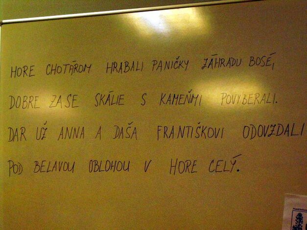Hľadajte v riadkoch názvy stromov a kvetov