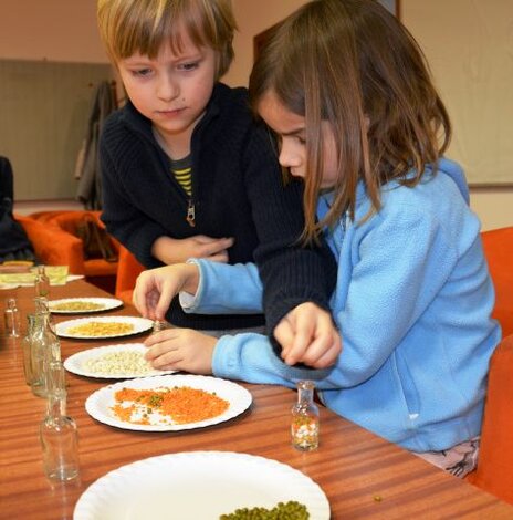 Nezabudli sme ani na rok strukovín - 1. deň