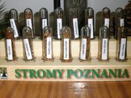 Semienka listnatých a ihličnatých stromov